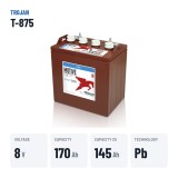 Batería de carrito de golf Trojan T-875 8V 170Ah – datos clave