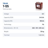 Batería de carrito de golf Trojan T-125 6V 240Ah – ficha técnica