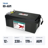 Solarbatterie Trojan 8D-AGM 12V 230Ah AGM | baterias.com