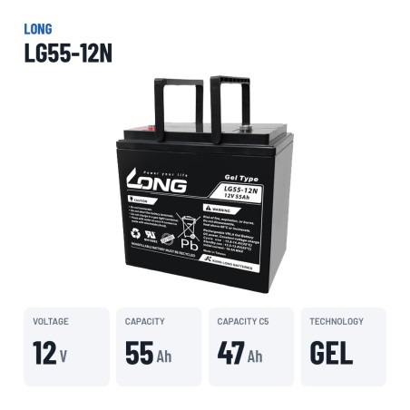 Rollstuhlbatterie Long LG55-12N 12V 55Ah GEL – wichtigste Daten