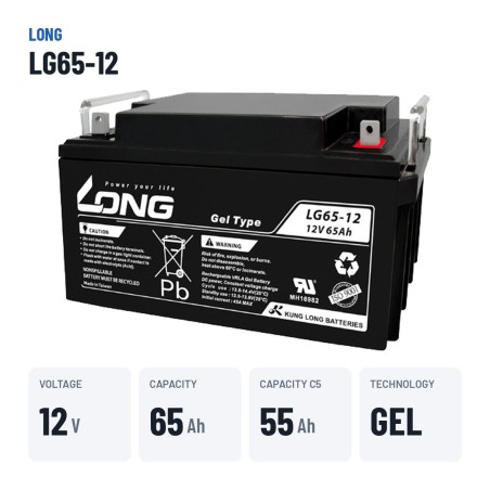 Batterie fauteuil roulant Long LG65-12 12V 65Ah GEL – caractéristiques clés