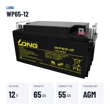 Batteria per carrozzina Long WP65-12 12V 65Ah AGM – dati principali