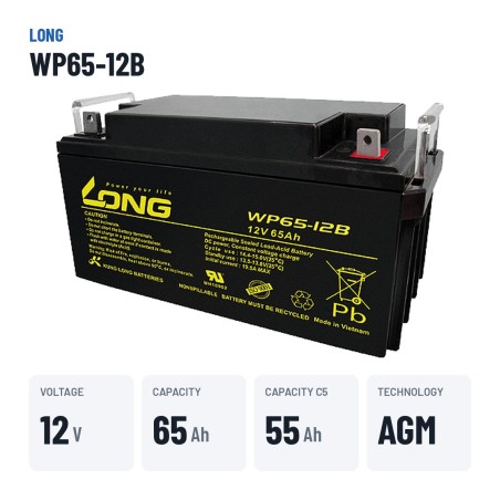Batteria per carrozzina Long WP65-12B 12V 65Ah AGM – dati principali