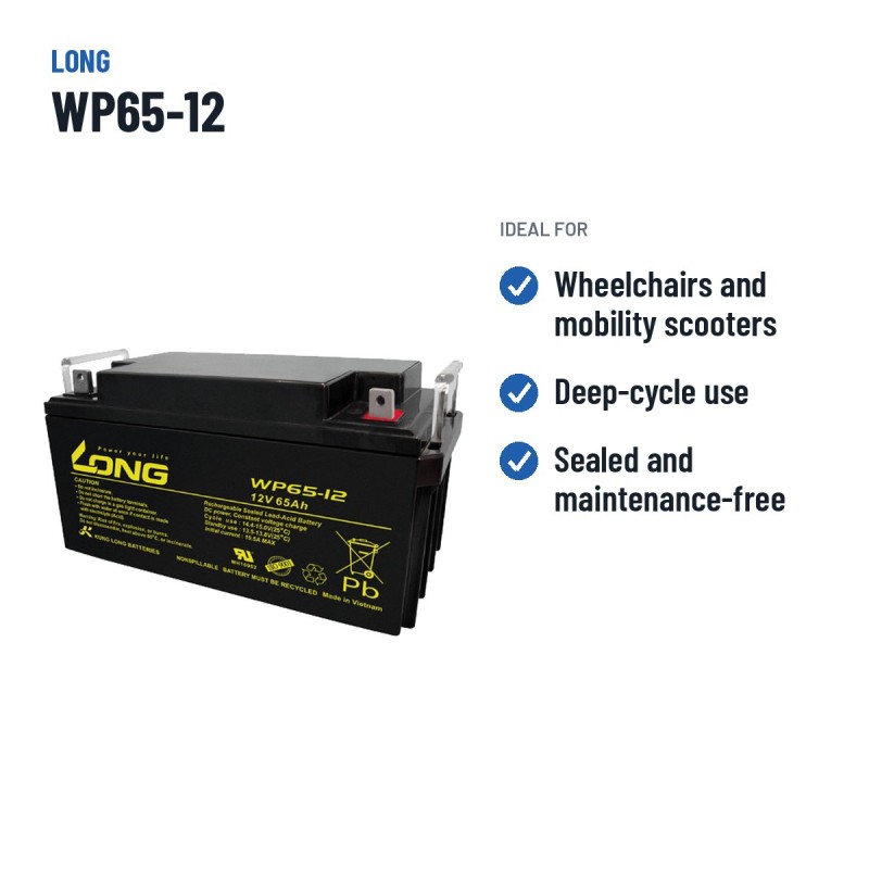 Batteria per carrozzina Long WP65-12 12V 65Ah AGM – usi consigliati