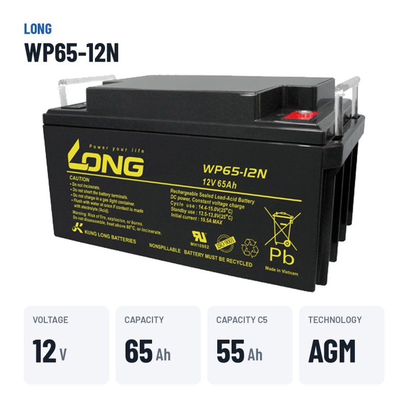 Bateria de cadeira de rodas Long WP65-12N 12V 65Ah AGM – dados principais