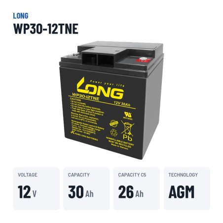 Wheelchair battery Long WP30-12TNE 12V 30Ah AGM – key specs