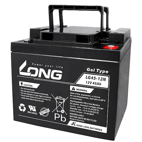 Batterie Long LG45-12N 45Ah Long - 1