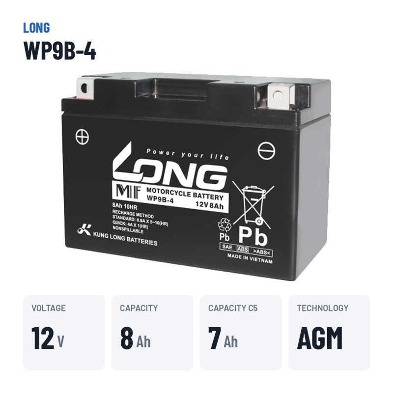 Batterie stationnaire onduleur Long WP9B-4 12V 8Ah AGM – caractéristiques clés