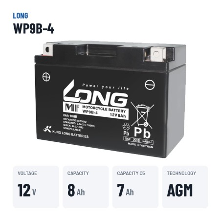 Batterie stationnaire onduleur Long WP9B-4 12V 8Ah AGM – caractéristiques clés
