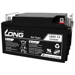 Batería Long LG65-12 65Ah - 1
