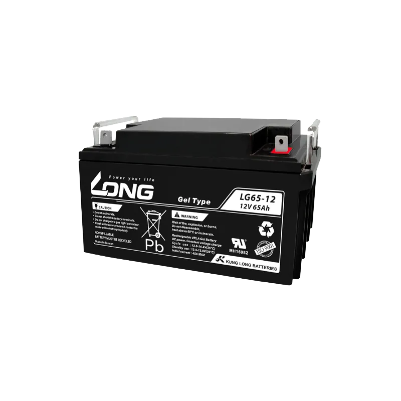Battery Long LG65-12 65Ah Long - 1