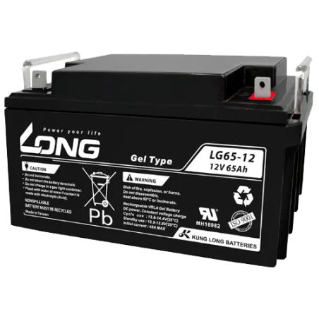 Batterie Long LG65-12 65Ah Long - 1