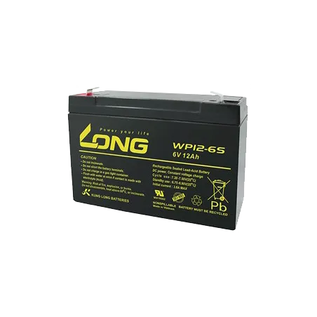 Batterie Long WP12-6S 12Ah Long - 1