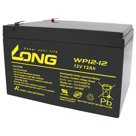 Batterie Long WP12-12 12Ah Long - 1