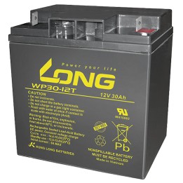 Batería Long WP30-12T 30Ah - 1