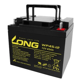 Batería Long WP45-12 45Ah - 1