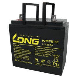 Batería LONG WP55-12 12V 55Ah AGM