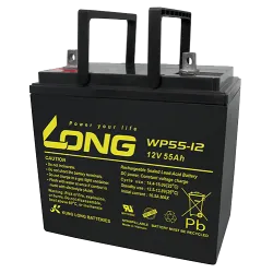 Batterie Long WP55-12 55Ah Long - 1