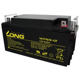 Batería Long WP65-12 65Ah - 1