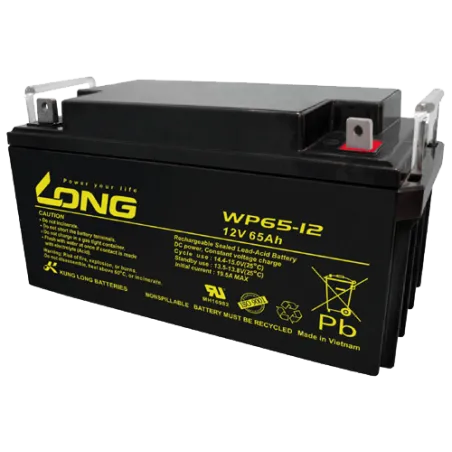 Bateria Long WP65-12 65Ah Long - 1
