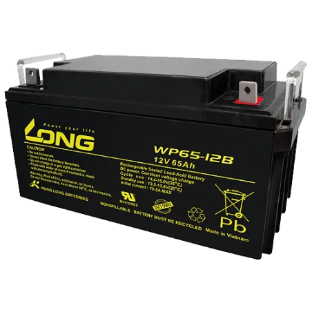Bateria Long WP65-12B 65Ah Long - 1
