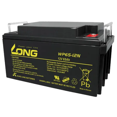 Batterie Long WP65-12N 65Ah Long - 1