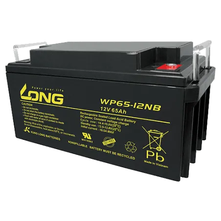 Batterie Long WP65-12NB 65Ah Long - 1