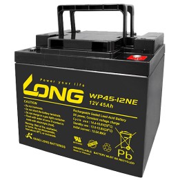 Batería Long WP45-12NE 45Ah - 1