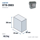 Traction battery Q-battery 6TTB-290EU 6V 290Ah – dimensions 311 × 181 × 360 mm