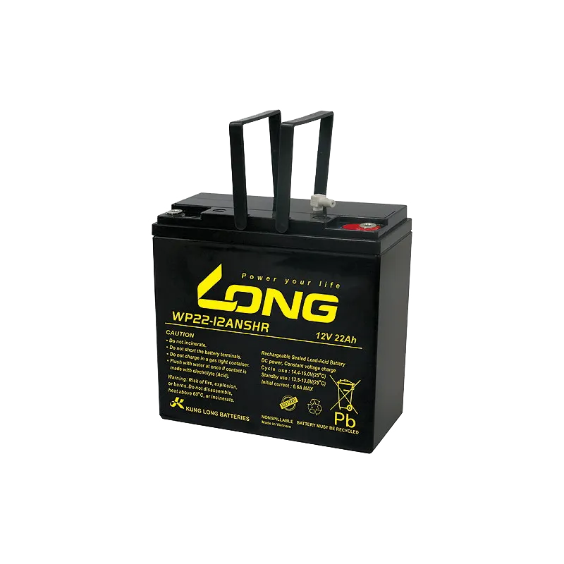 Batterie Long WP22-12ANSHR 22Ah Long - 1