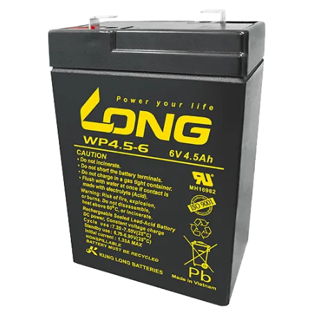 Batteria Long WP4.5-6 4.5Ah Long - 1