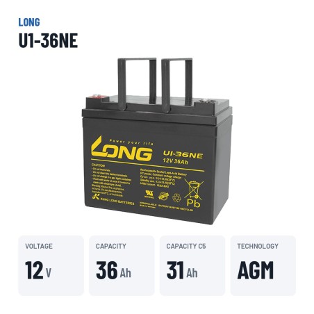 Wheelchair battery Long U1-36NE 12V 36Ah AGM | baterias.com