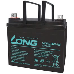 Batería Long WPL36-12 36Ah - 1