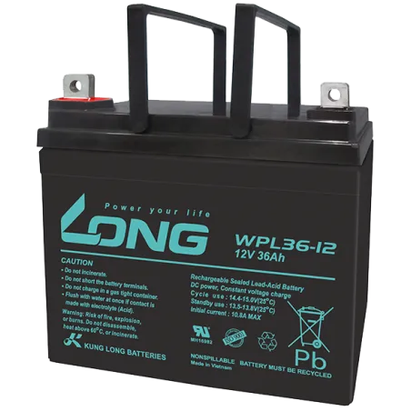Battery Long WPL36-12 36Ah Long - 1