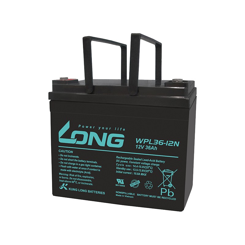 Batteria Long WPL36-12N 36Ah Long - 1