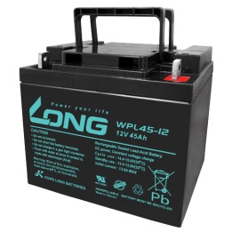 Batería Long WPL45-12 45Ah - 1