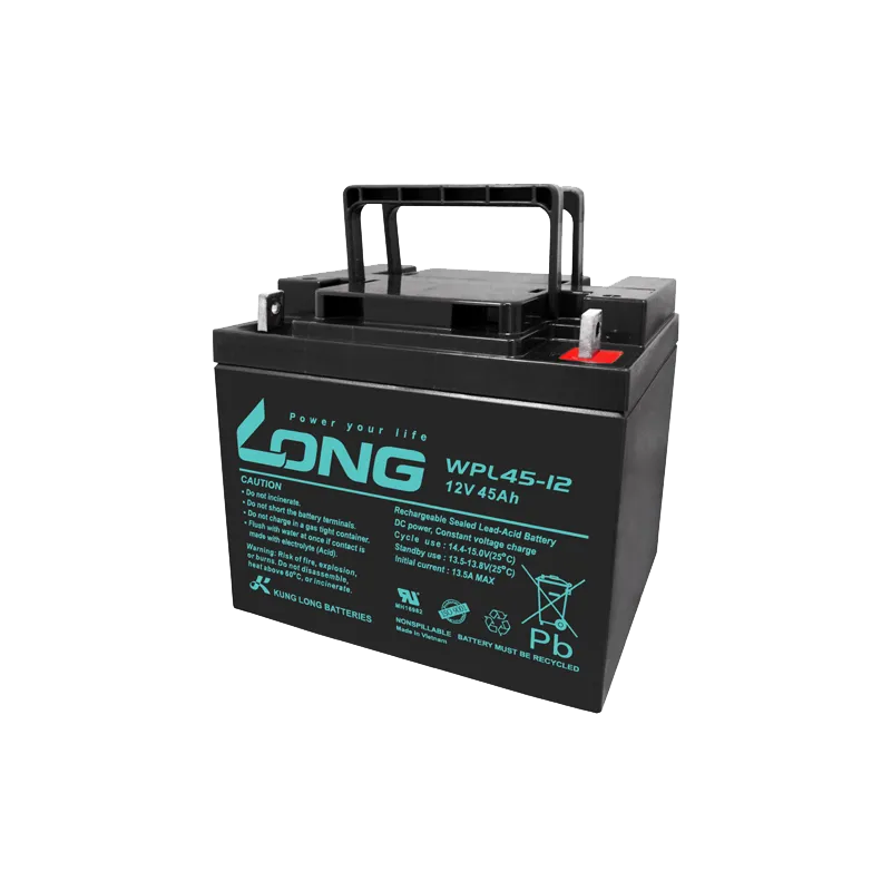 Batterie Long WPL45-12 45Ah Long - 1