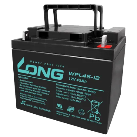 Battery Long WPL45-12 45Ah Long - 1