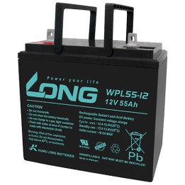 Batería LONG WPL55-12 12V 55Ah AGM