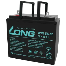 Batterie Long WPL55-12 55Ah Long - 1