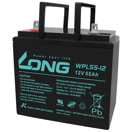 Long WPL55-12. Gerätebatterie Long 55Ah 12V