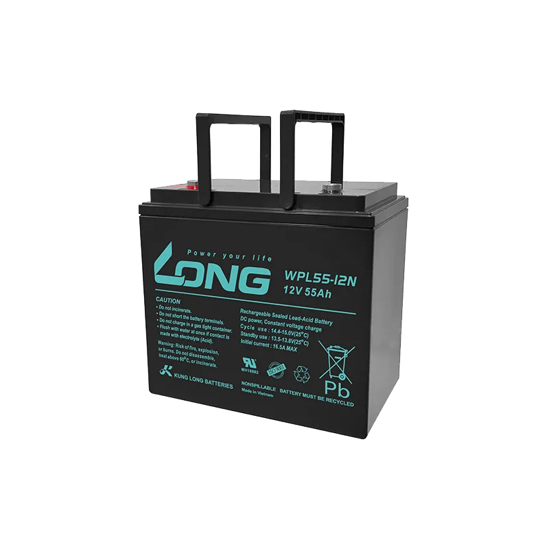 Bateria Long WPL55-12N 55Ah Long - 1