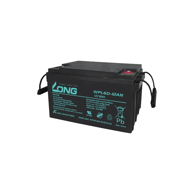 Batterie Long WPL60-12AN 60Ah Long - 1
