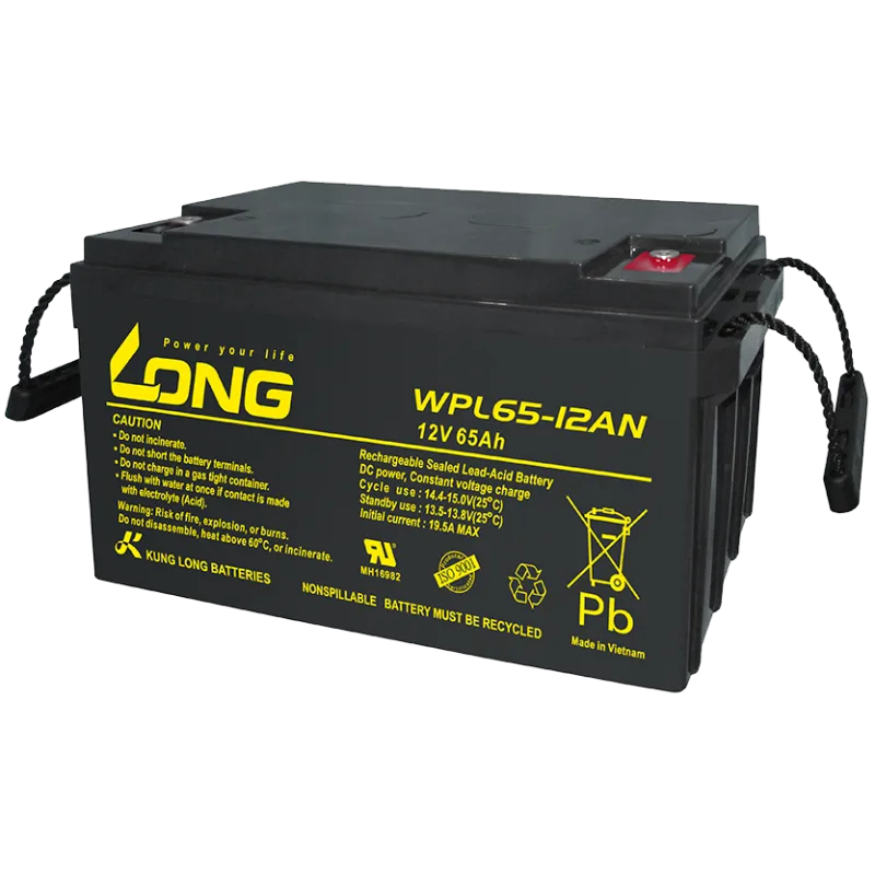 Batterie Long WPL65-12AN 65Ah Long - 1