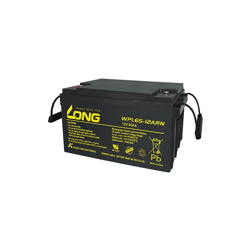 Batterie Long WPL65-12ARN 65Ah Long - 1