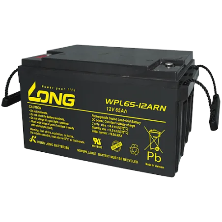 Bateria Long WPL65-12ARN 65Ah Long - 1