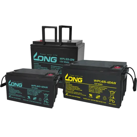 Bateria Long WPL100-12N 100Ah Long - 1