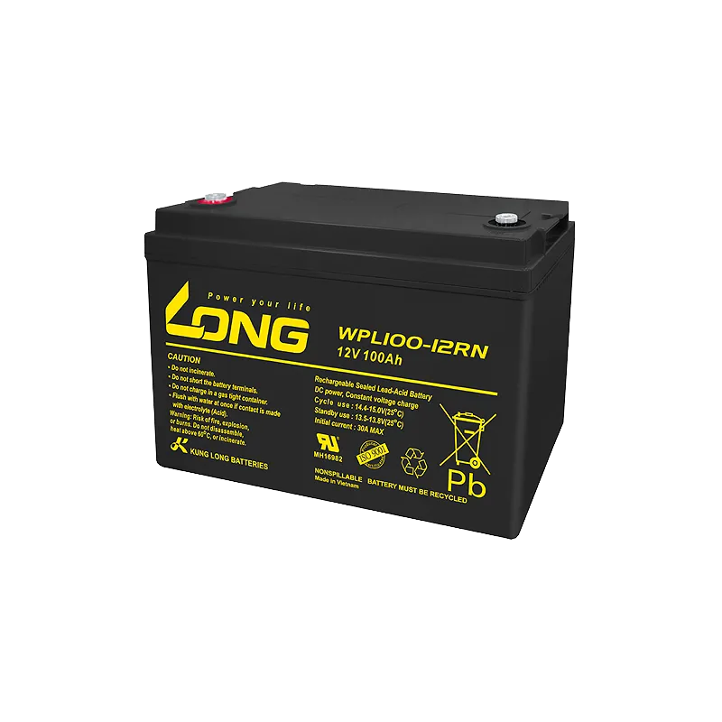 Battery Long WPL100-12RN 100Ah Long - 1