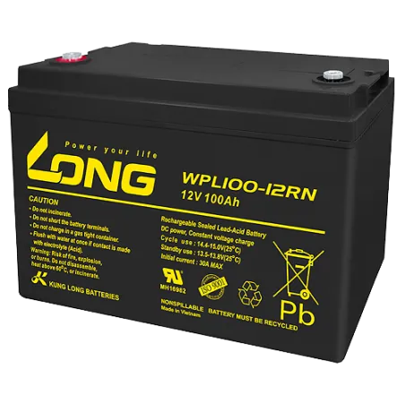 Batteria Long WPL100-12RN 100Ah Long - 1