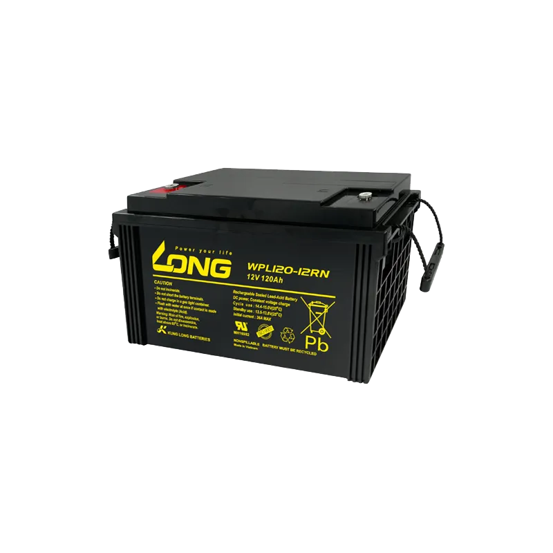 Batería Long WPL120-12RN 120Ah Long - 1